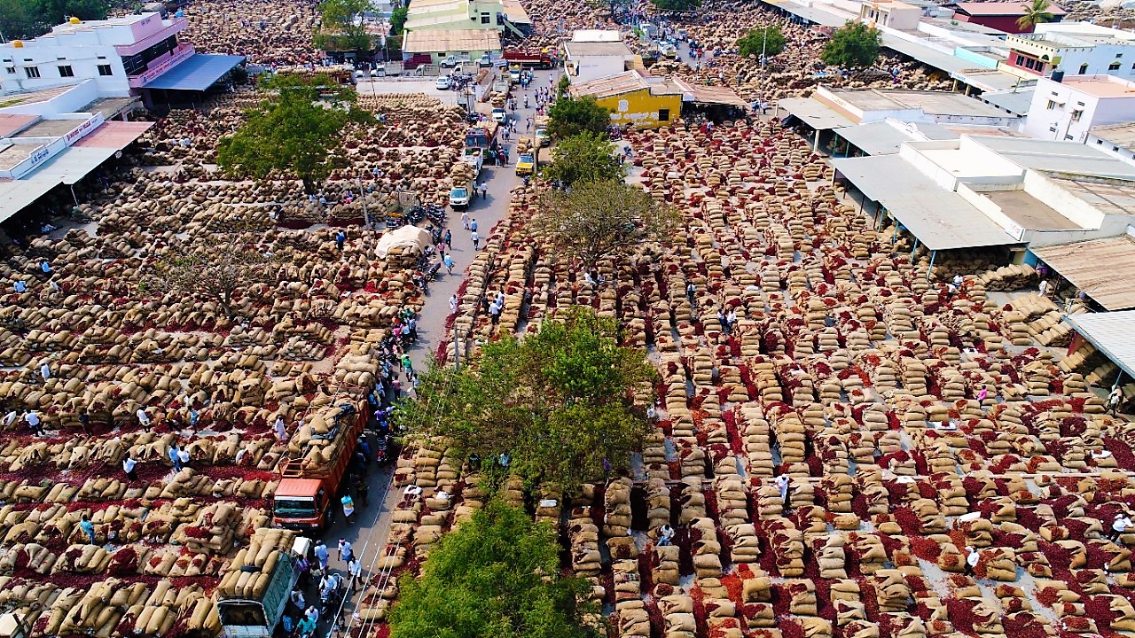 Chilli Market